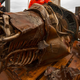 Illustration for article titled Jeff Bezos Has Rescued the Apollo 11 Rockets From the Ocean Floor